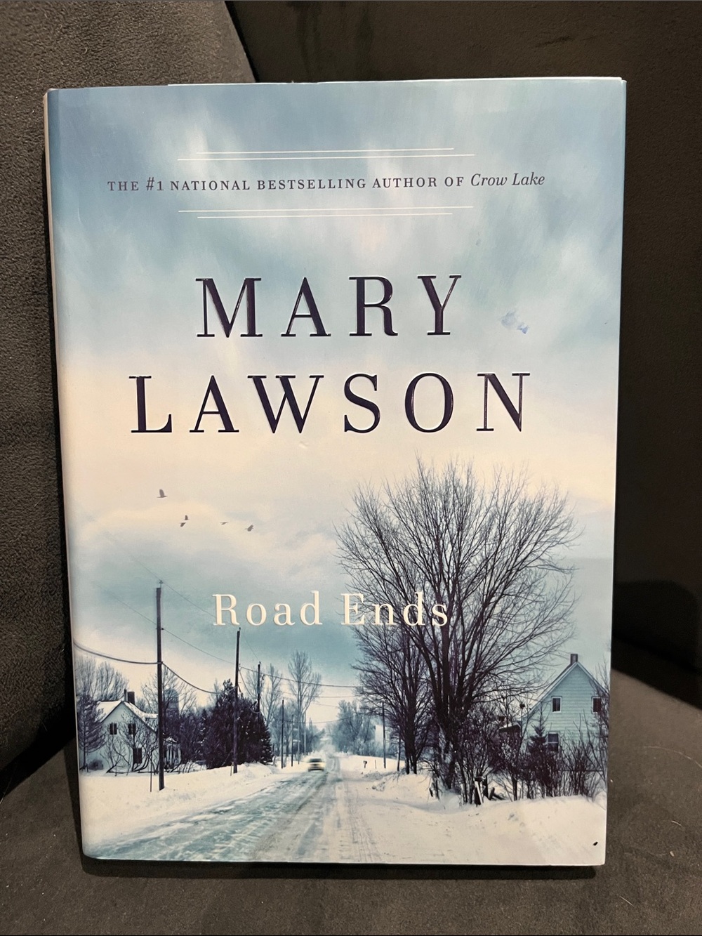 📚3 for $15📚 Road Ends Hardcover Book by Mary Lawson